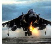 pic for harrier 